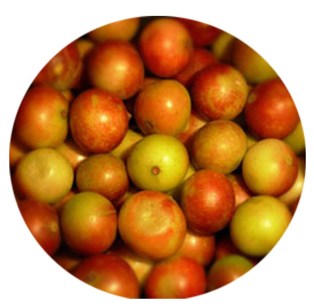 Camu Camu Fruits